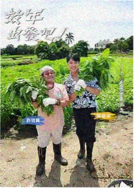 一起去露营吧 天美传媒影视户外综艺